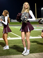 DLS_0393