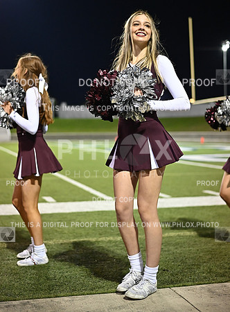DLS_0393