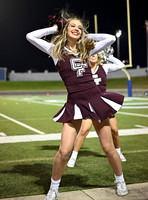 DLS_0419