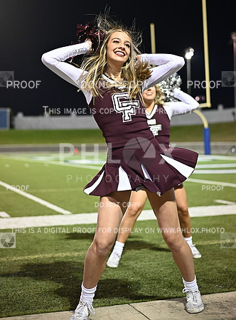 DLS_0419