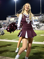 DLS_0219