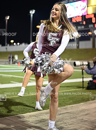 DLS_0062