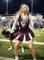 DLS_0285