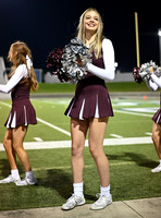 DLS_0391