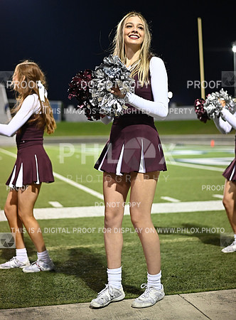 DLS_0391
