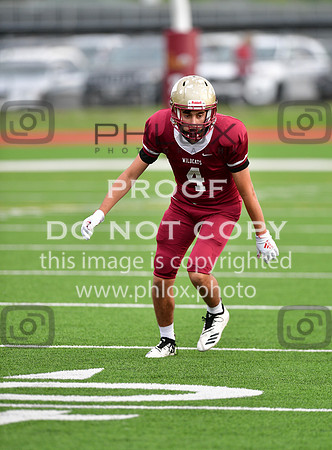 TOM_3433-2