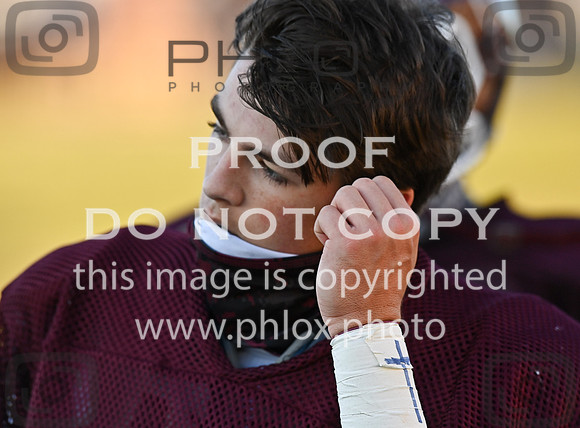 DLS_3715