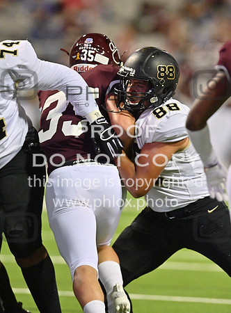 DLS_8032
