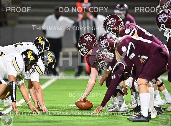 DLS_7974