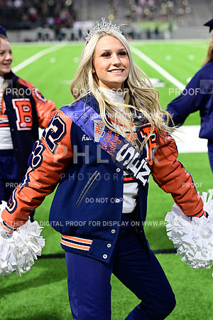 TOM_6658