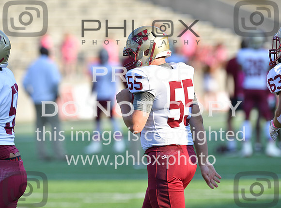 TOM_4446