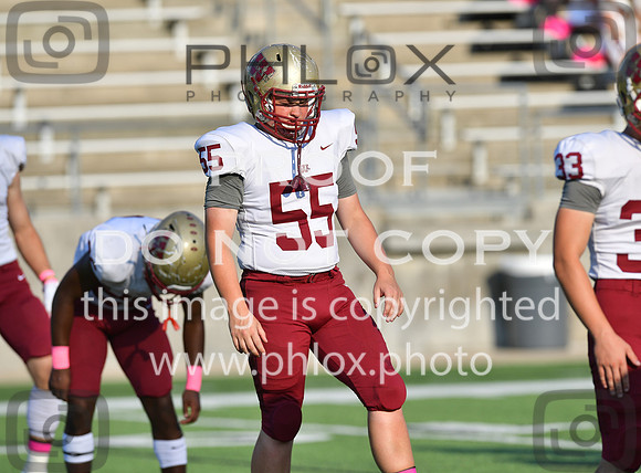 TOM_4441
