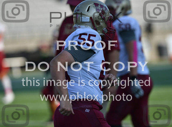 TOM_4445