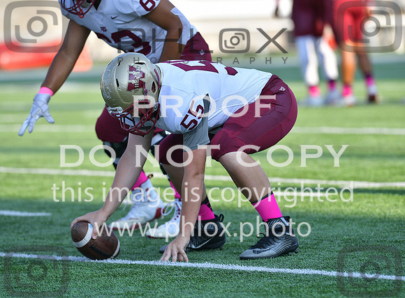 TOM_4448
