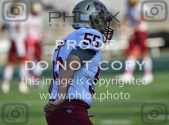 TOM_4443