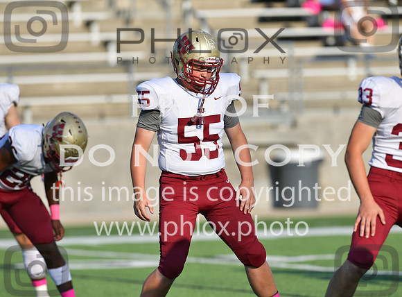 TOM_4442
