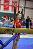Stars Gymnastics Training Center Houston