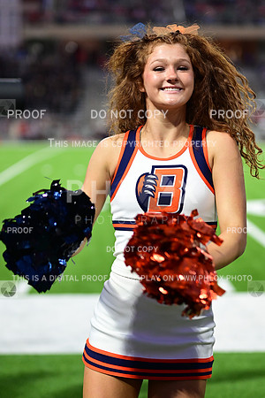 TOM_3230