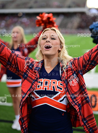 TOM_6323