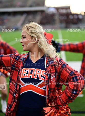 TOM_6339