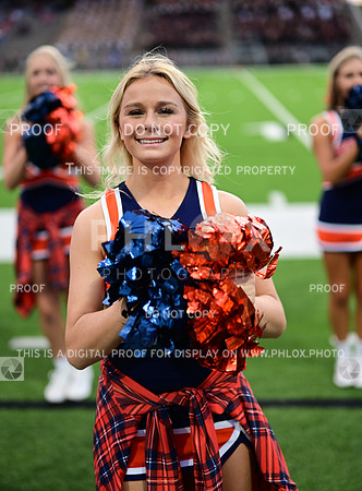 TOM_6919