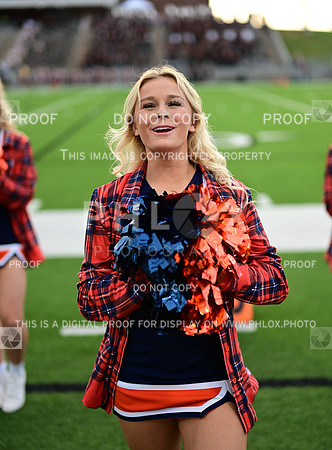 TOM_6351