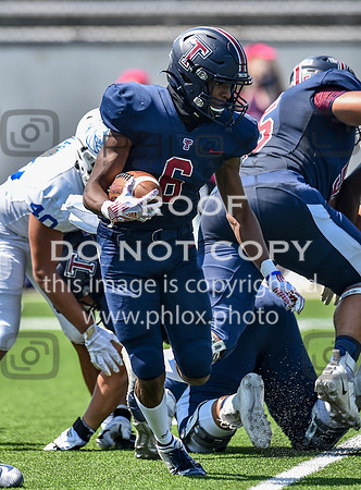 MHG_0499
