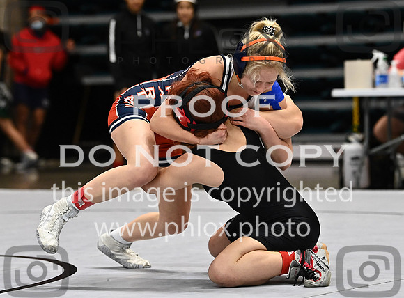 DLS_1630