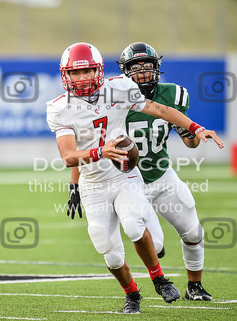MHG_0906