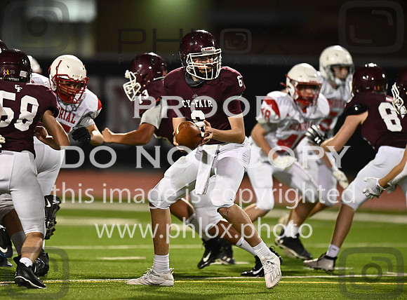 DLS_7555