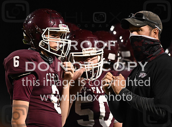 DLS_7379
