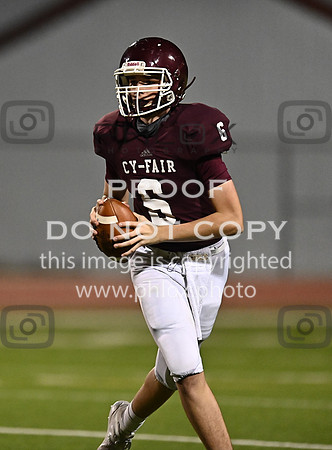 DLS_6934