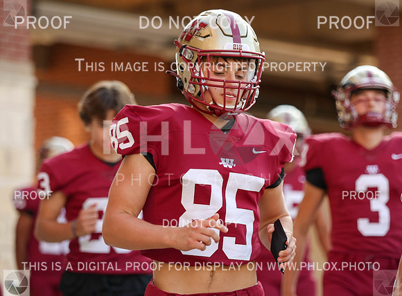 DDN_0559