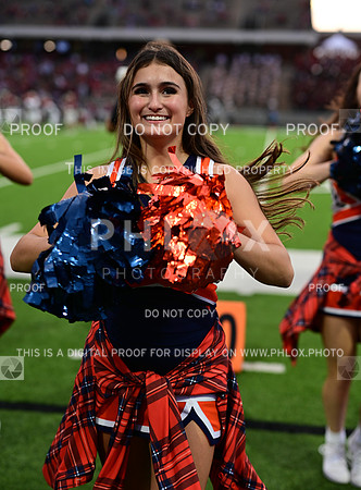 TOM_7205