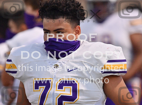 DLS_8044