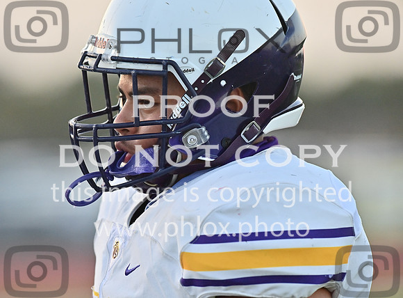 DLS_7832