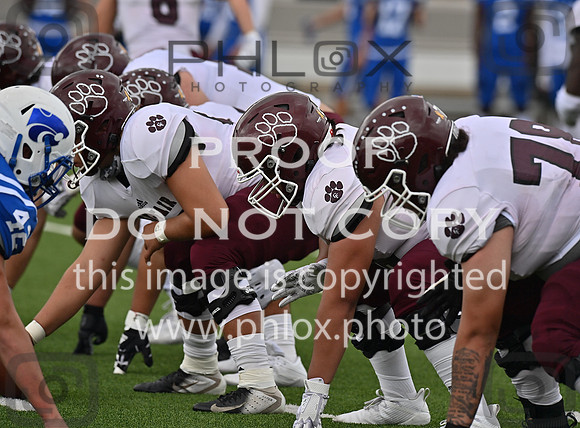 DLS_4676