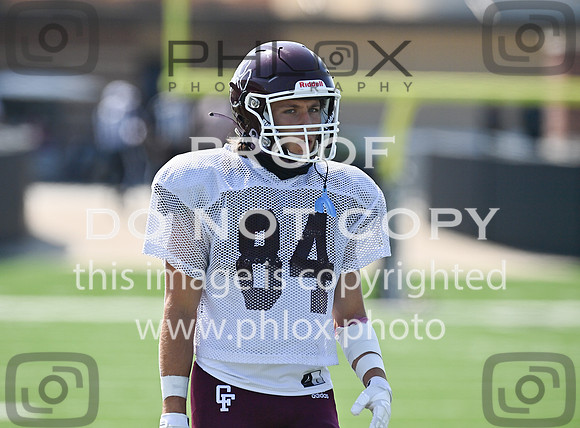 DLS_4515