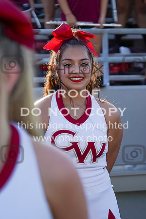 DSC03506