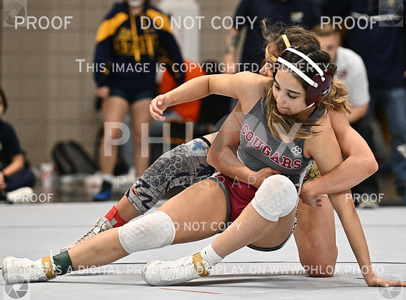DLS_2012-2