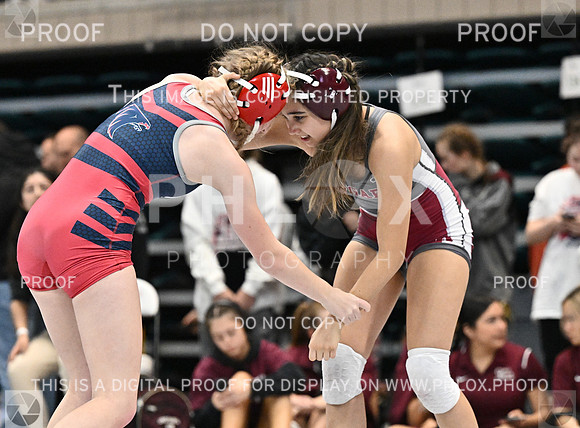 DLS_1522-2