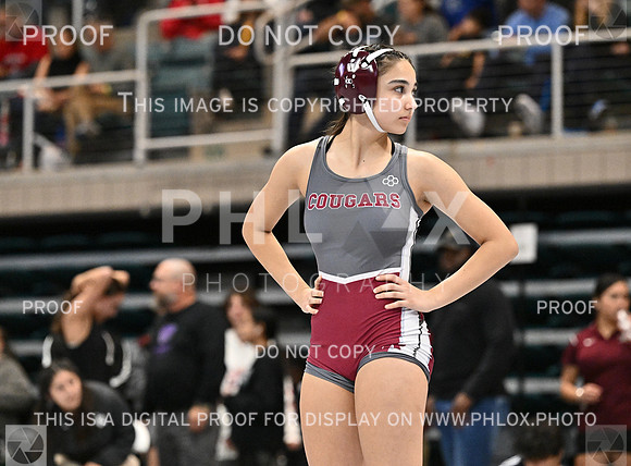 DLS_1431-2