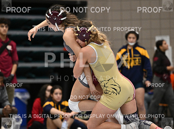 DLS_2014-2