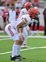 CAR_0342