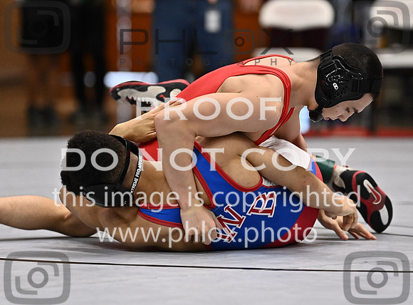 DLS_0801