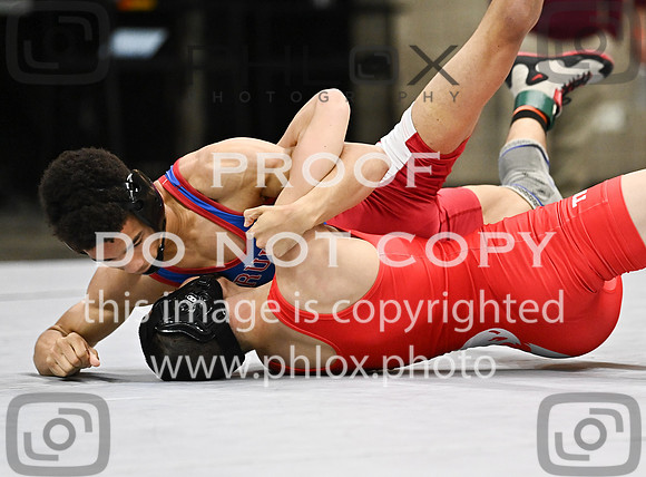 DLS_0774
