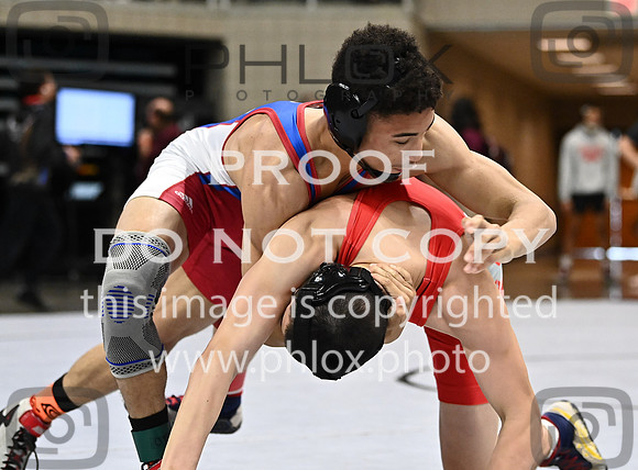 DLS_0761