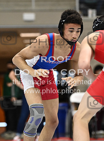 DLS_0770