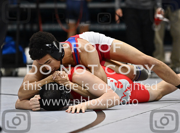 DLS_0794