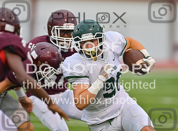 DLS_9019